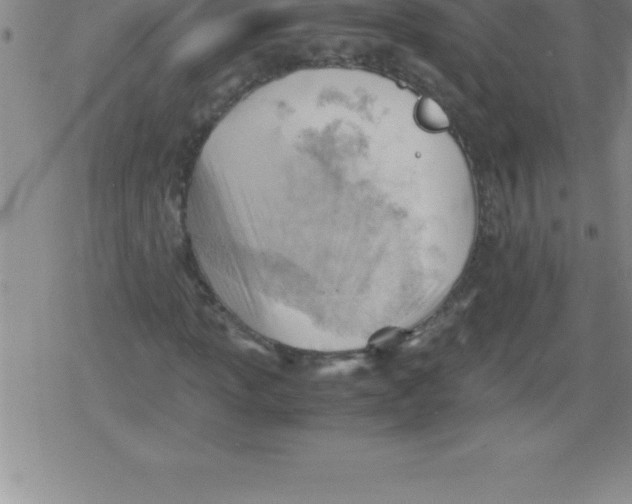 X0000079341013200612151902