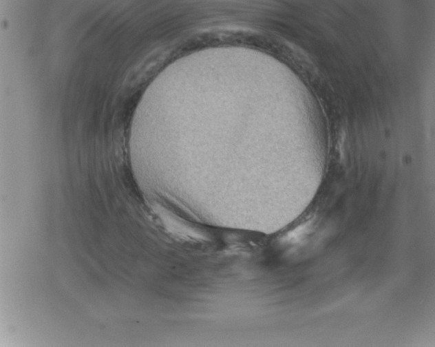 X0000079341014200612151902