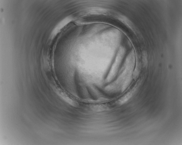 X0000079341018200612151902