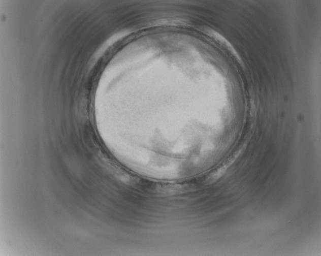 X0000079341019200612151902