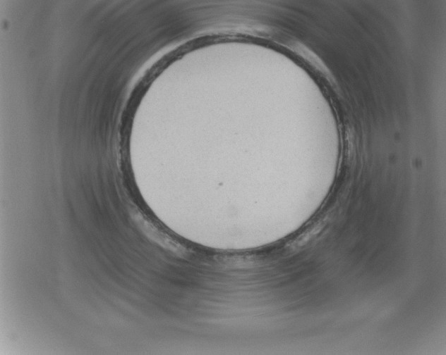 X0000079341020200612151902