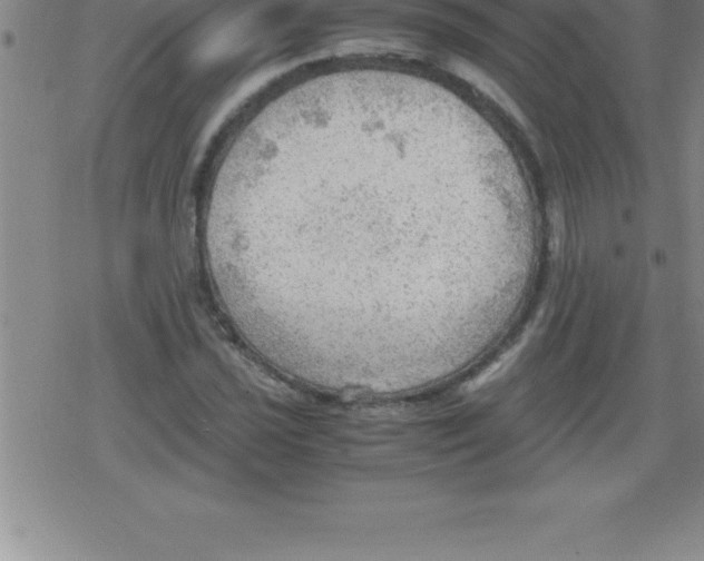 X0000079341021200612151902