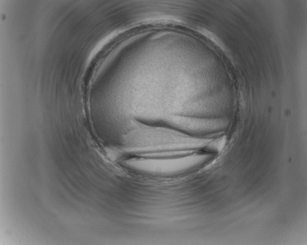 X0000079341022200612151902