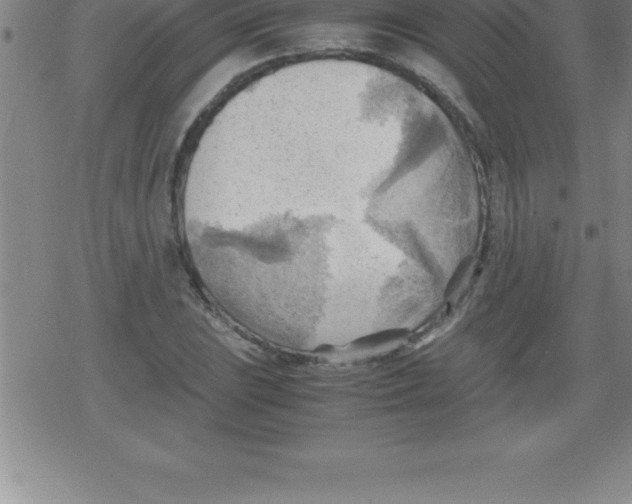 X0000079341023200612151902