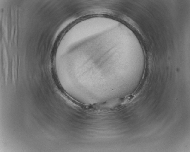 X0000079341024200612151902