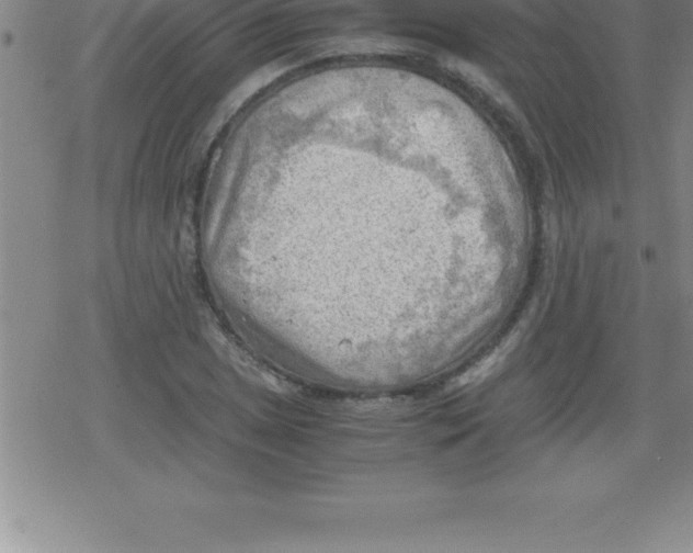 X0000079341025200612151902