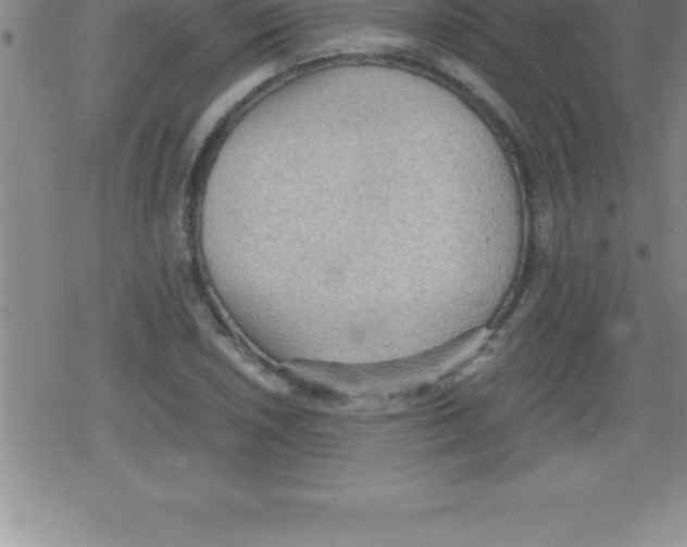 X0000079341026200612151902