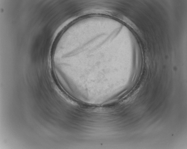 X0000079341028200612151902