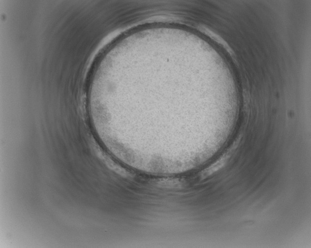 X0000079341029200612151902