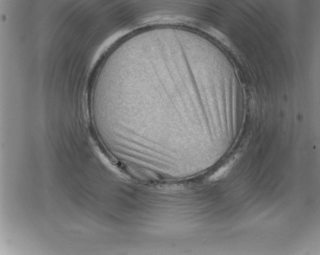 X0000079341030200612151902