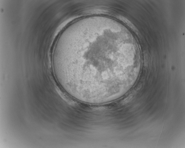 X0000079341031200612151902