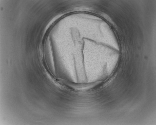 X0000079341032200612151902