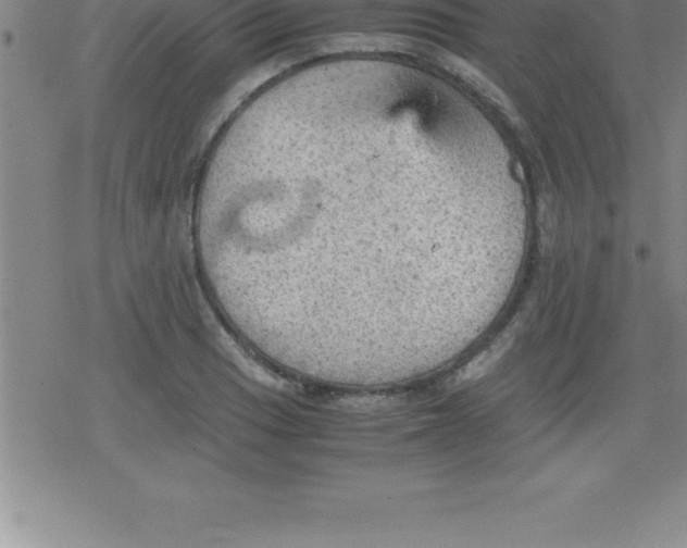 X0000079341033200612151902