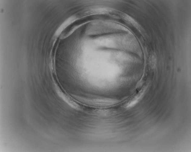 X0000079341034200612151903