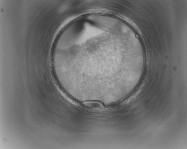 X0000079341037200612151903