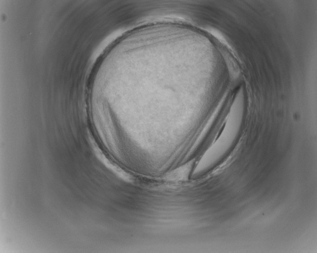 X0000079341038200612151903