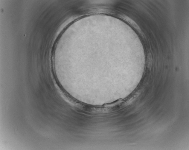 X0000079341039200612151903