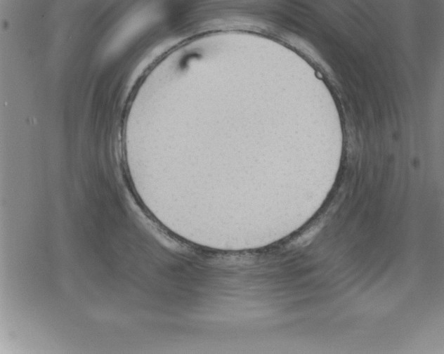 X0000079341040200612151903