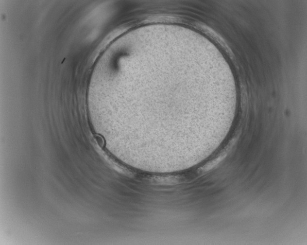 X0000079341041200612151903