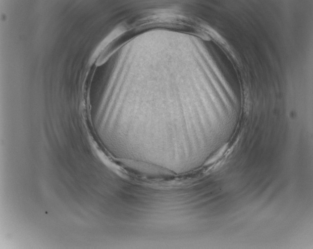 X0000079341042200612151903