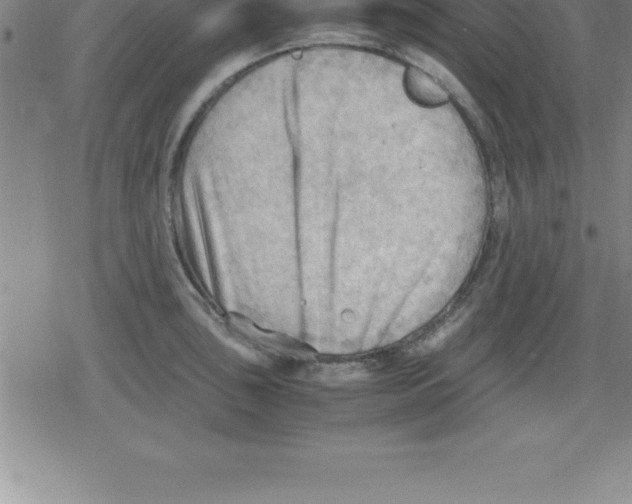 X0000079341043200612151903