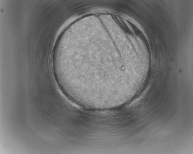 X0000079341045200612151903