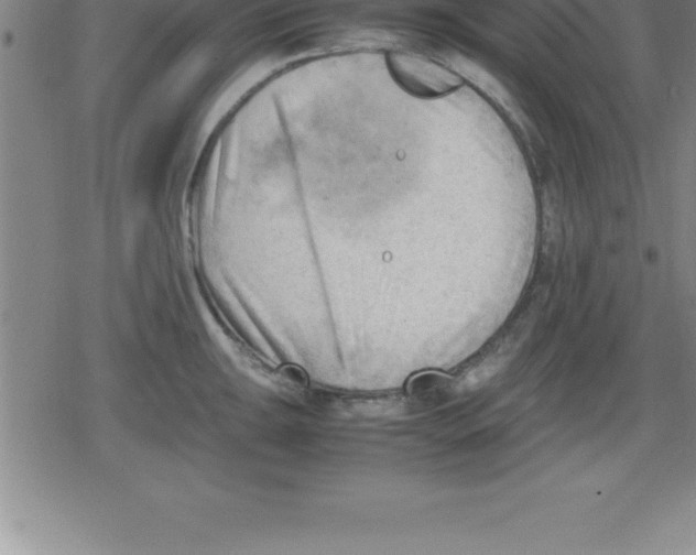 X0000079341047200612151903