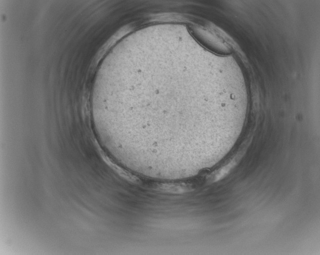 X0000079341049200612151903