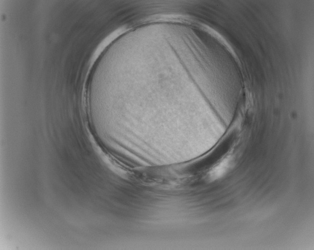 X0000079341050200612151903