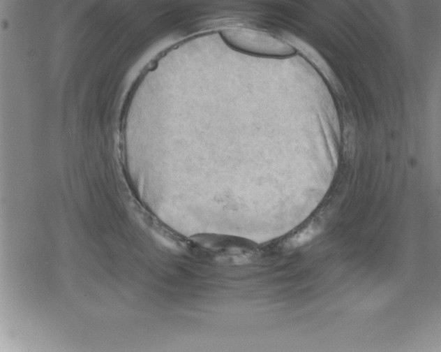 X0000079341051200612151903