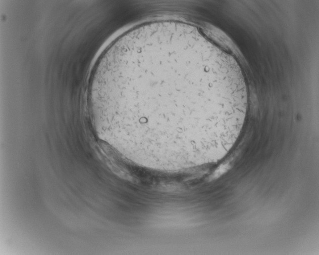 X0000079341052200612151903