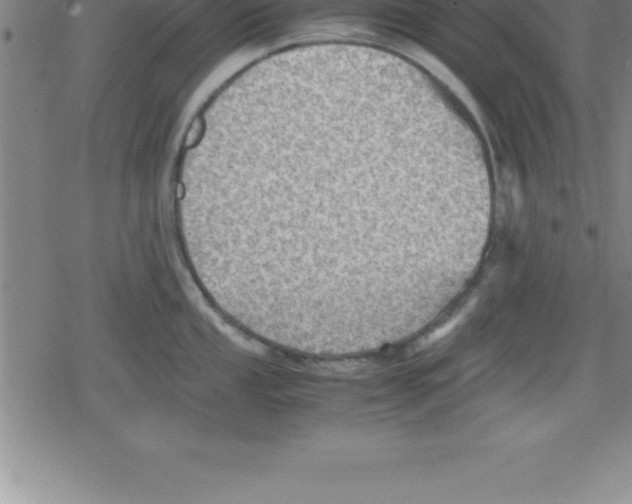 X0000079341053200612151903