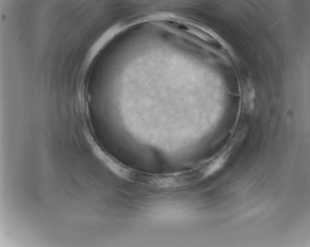 X0000079341054200612151903