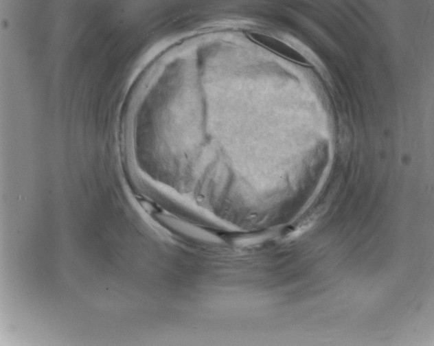 X0000079341055200612151903