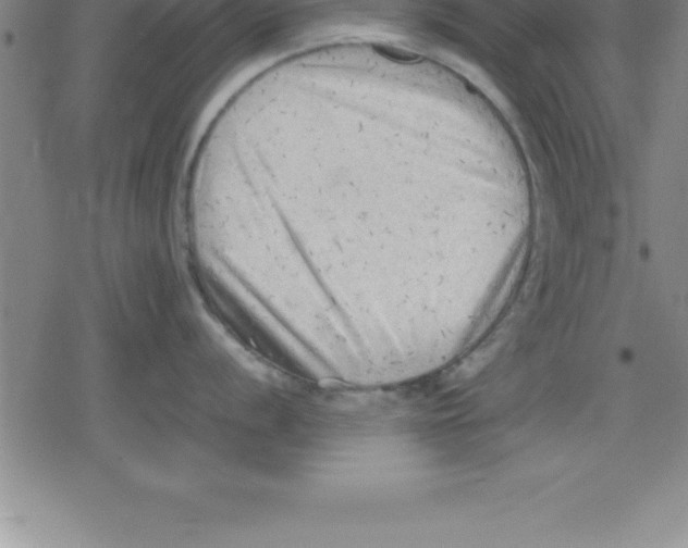 X0000079341056200612151903