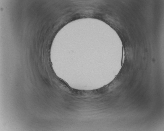 X0000079341057200612151902