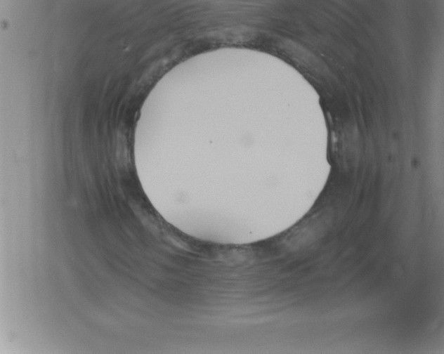 X0000079341058200612151902