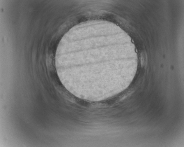 X0000079341059200612151902