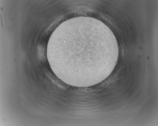 X0000079341060200612151902