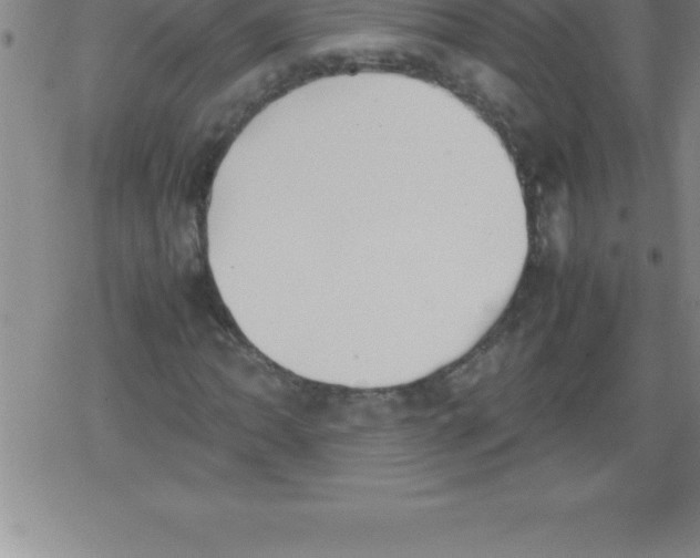 X0000079341062200612151902