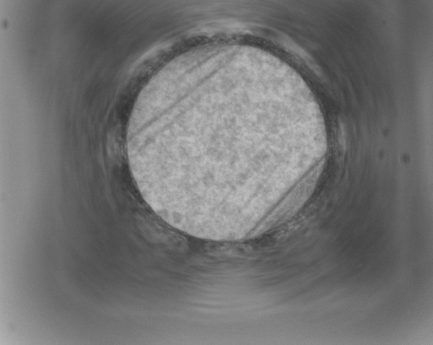 X0000079341063200612151902