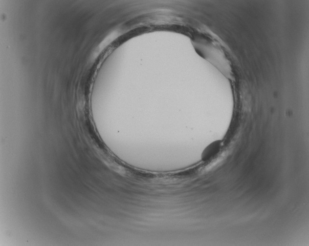 X0000079341065200612151902