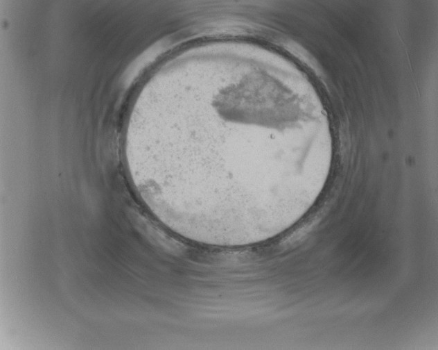 X0000079341067200612151902