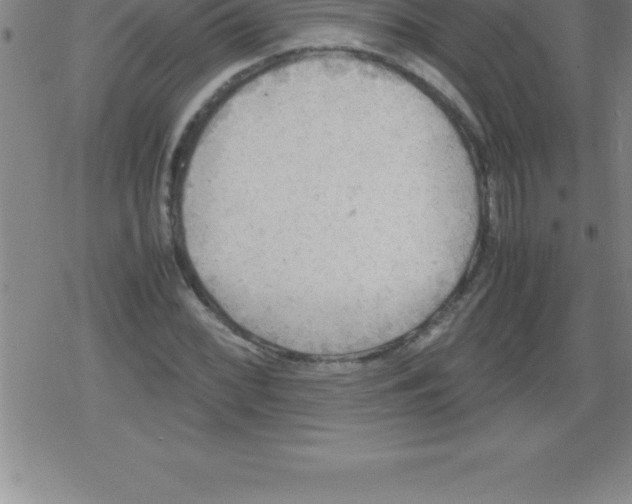 X0000079341068200612151902