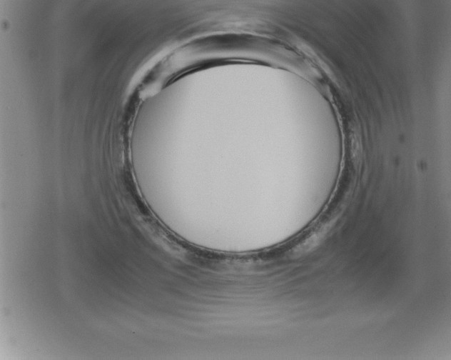 X0000079341069200612151902