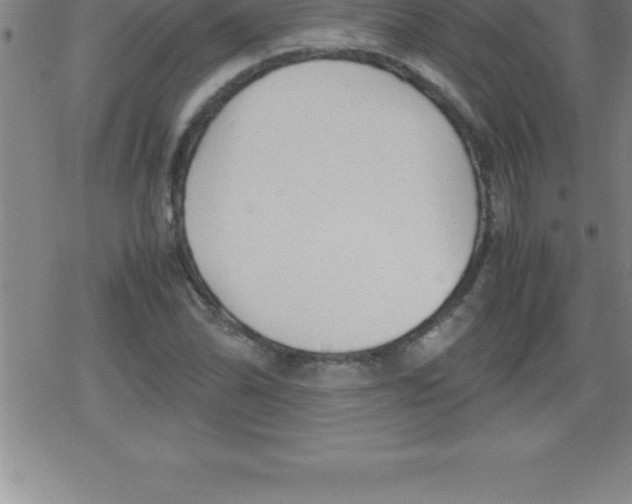 X0000079341070200612151902