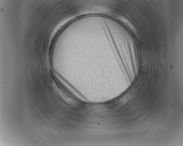 X0000079341072200612151902