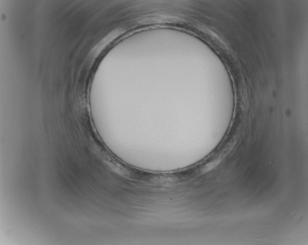 X0000079341073200612151902