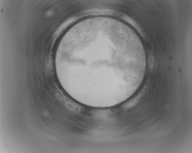 X0000079341074200612151902