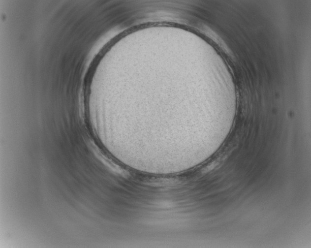 X0000079341076200612151902